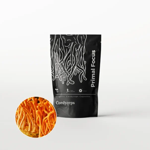 Cordyceps Capsules